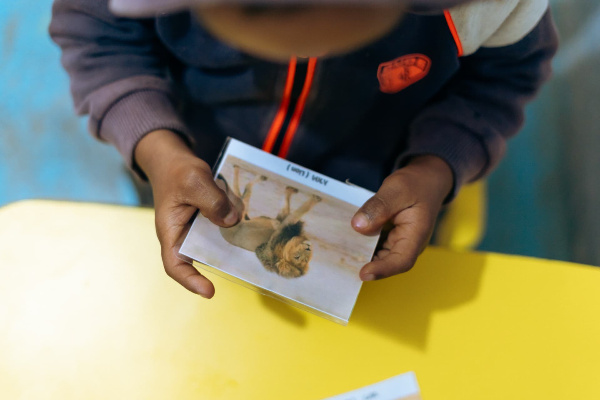 Boy proudly holding an animal flashcard